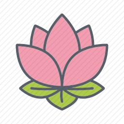 莲花