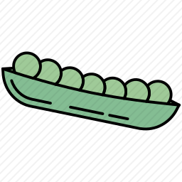 豌豆