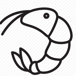 虾