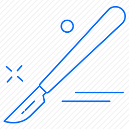 <em>手术刀</em>