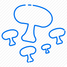 <em>蘑菇</em>