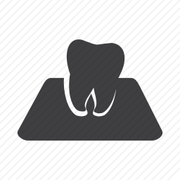 <em>牙齿</em>