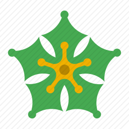 <em>花</em>