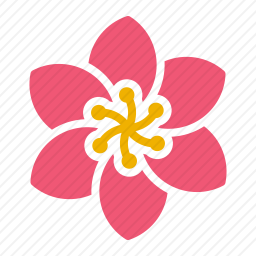 <em>花</em>