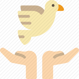 鸽子