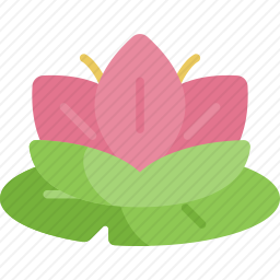 莲花
