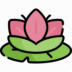 莲花