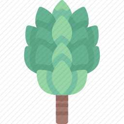 植物