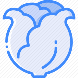 生菜