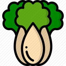 <em>白菜</em>