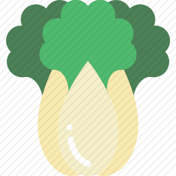 <em>白菜</em>