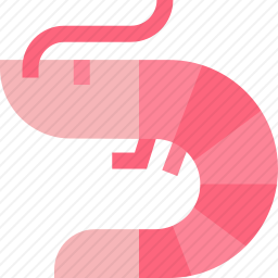 虾