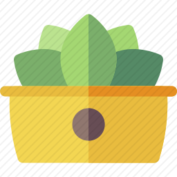 <em>植物</em>