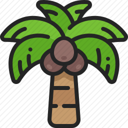 棕榈树
