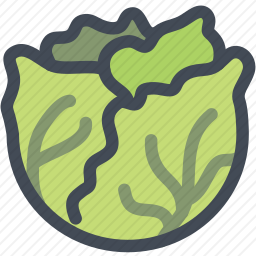 <em>白菜</em>