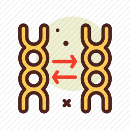 DNA