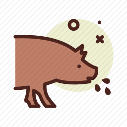 感染的<em>猪</em>