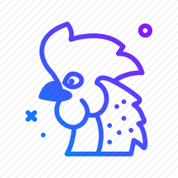 公鸡
