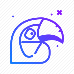 鹦鹉