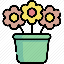 开花