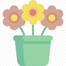 开花