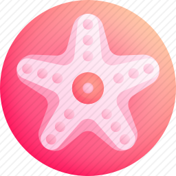 <em>海星</em>