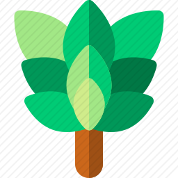 植物