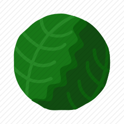<em>白菜</em>
