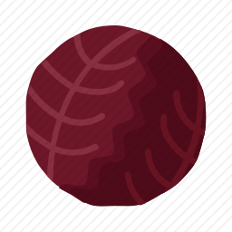 <em>白菜</em>