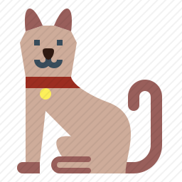 猫