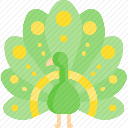 孔雀