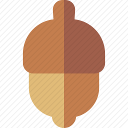 橡子