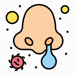 <em>鼻子</em>