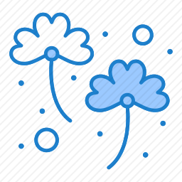 <em>四叶草</em>