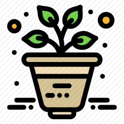 花盆