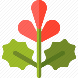 <em>植物</em>