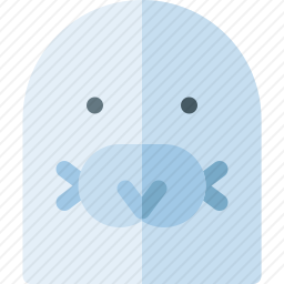 <em>海豹</em>
