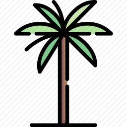 蜡棕榈