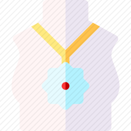 <em>项链</em>