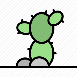 <em>仙人掌</em>