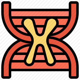 DNA与染色体
