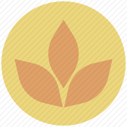 生态学