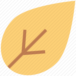 叶子