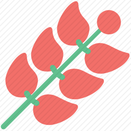 细枝