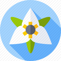 <em>花</em>