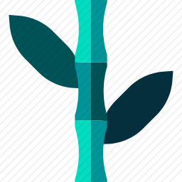 竹