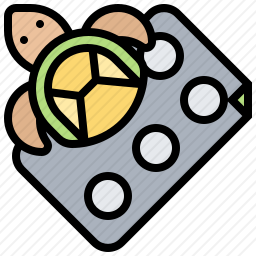 <em>乌龟</em>