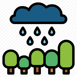 雨