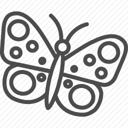 <em>蝴蝶</em>