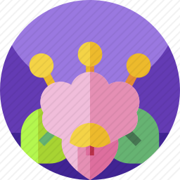 <em>花</em>